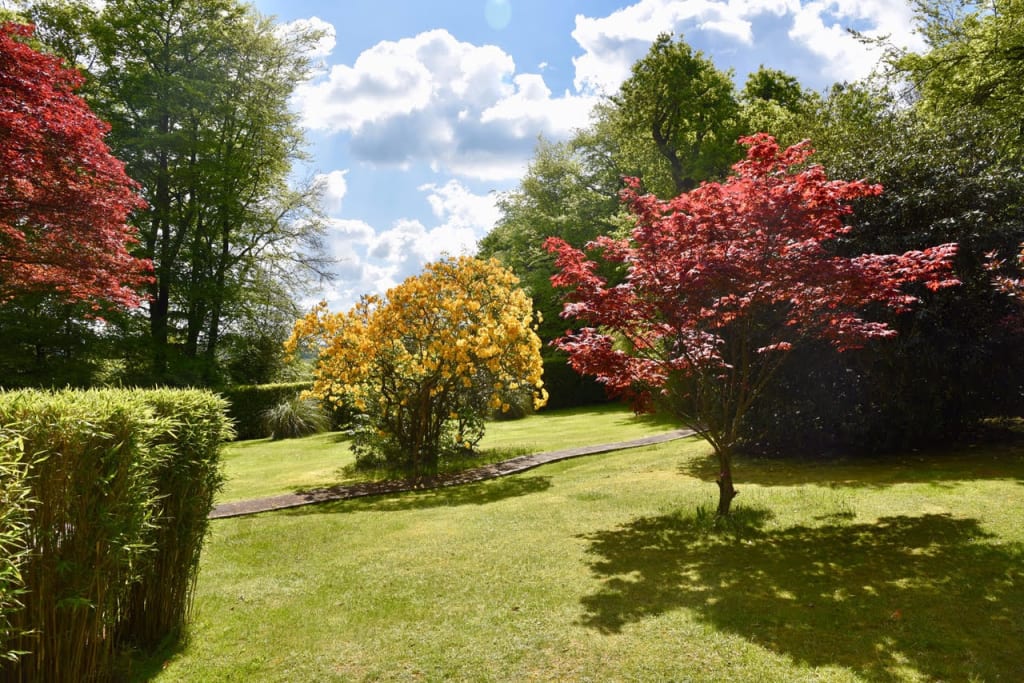 Bob's customer's beautiful garden with beautifully mown lawn